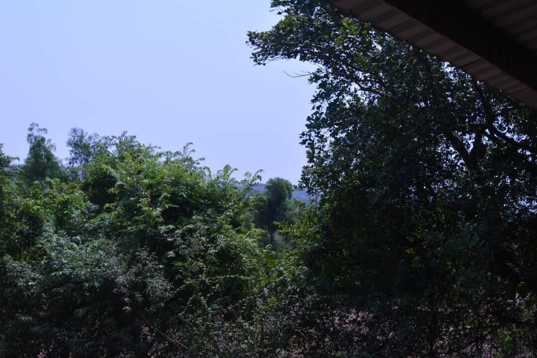 Mango Holiday Resort Kolhapur Exterior foto